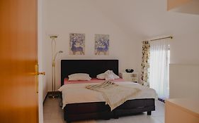 Terrace Apartment Near Volksoper And City Centre